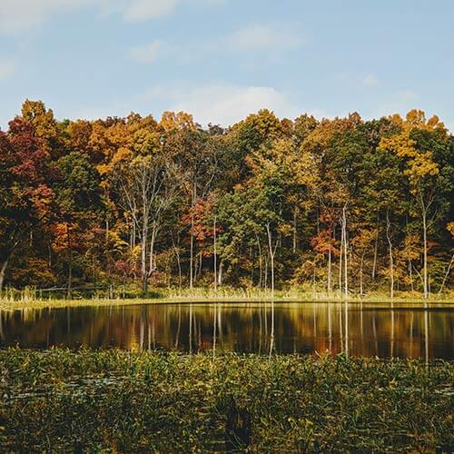 Active911 Customer, Indiana Search & Rescue